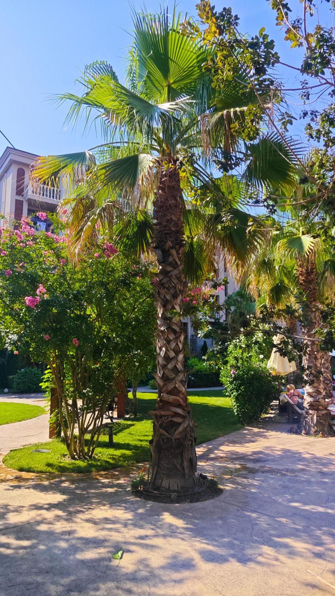 Attractive Family Apartment In Sunny Beach Cascadas Family Resort Екстер'єр фото